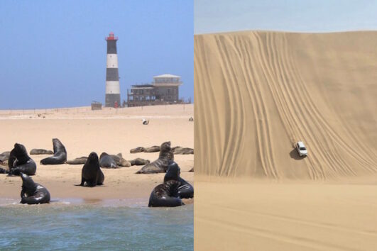 Boat Trip to the Seals & Namib Desert by Jeep