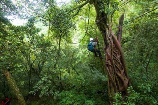 Canopy Zipline Tour ā Karkloof Site