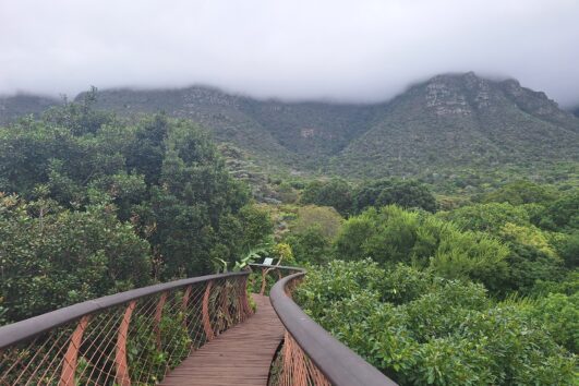 Botanischer Garten Kirstenbosch, Hout Bay & Chapmanās Peak Küstentour