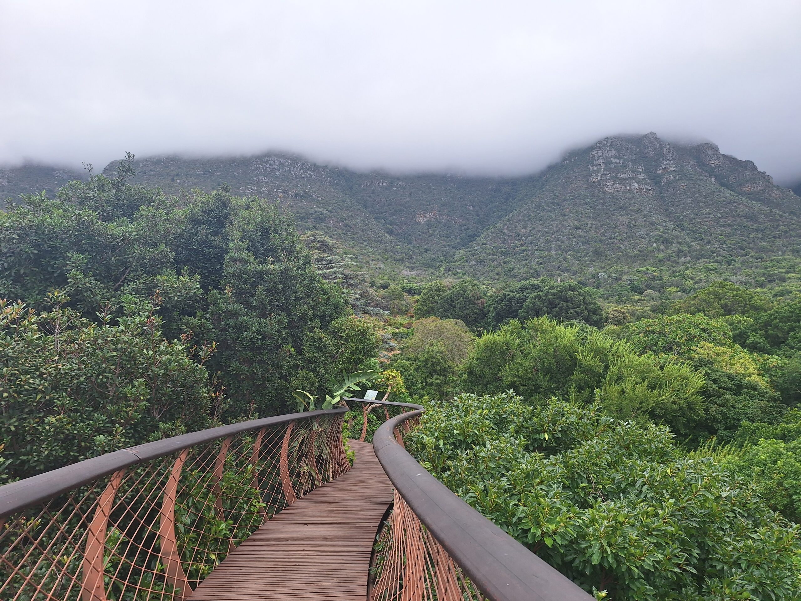 Kirstenbosch (1) Kirstenbosch (1)