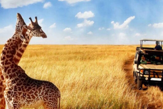 Valley of a Thousand Hills & Phezulu Park