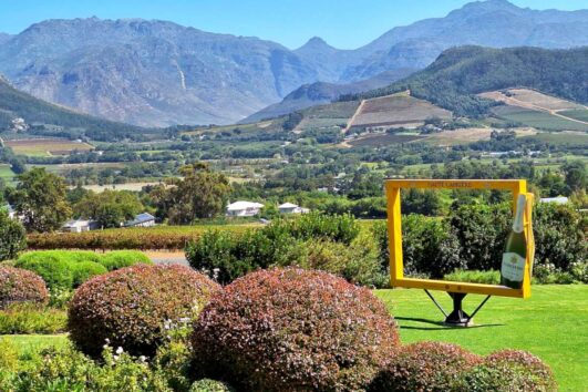 Table Mountain & Groot Constantia Winery