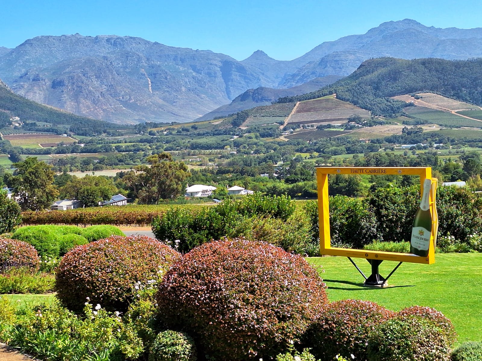 Wine Estates (17) Wine Estates (17)